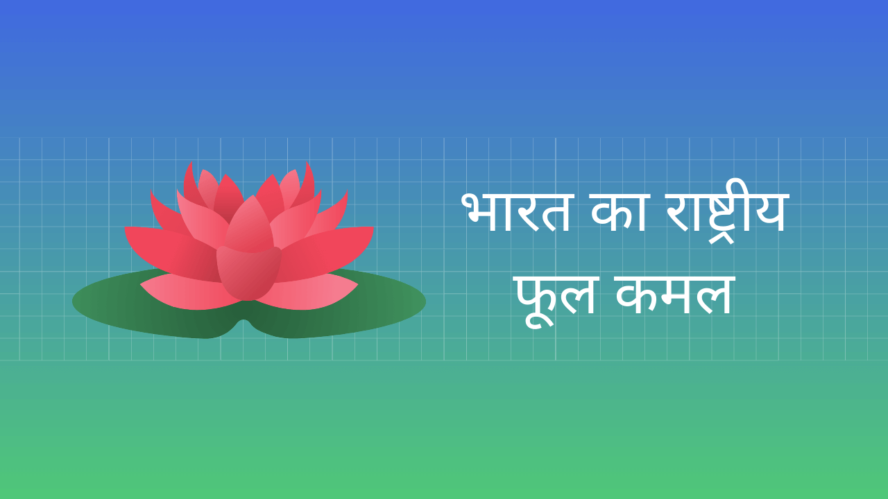 Essay on National flower of India in Hindi