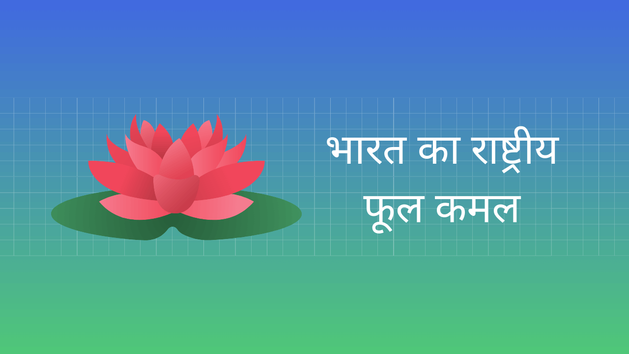 national flower of india essay in hindi